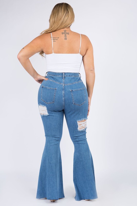 PLUS SIZE DENIM