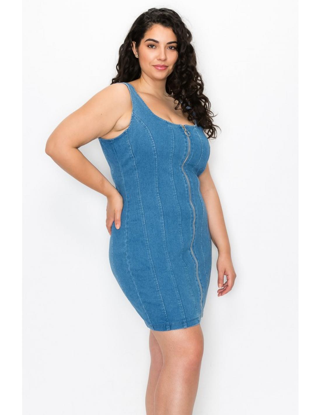 PLUS DENIM DRESS