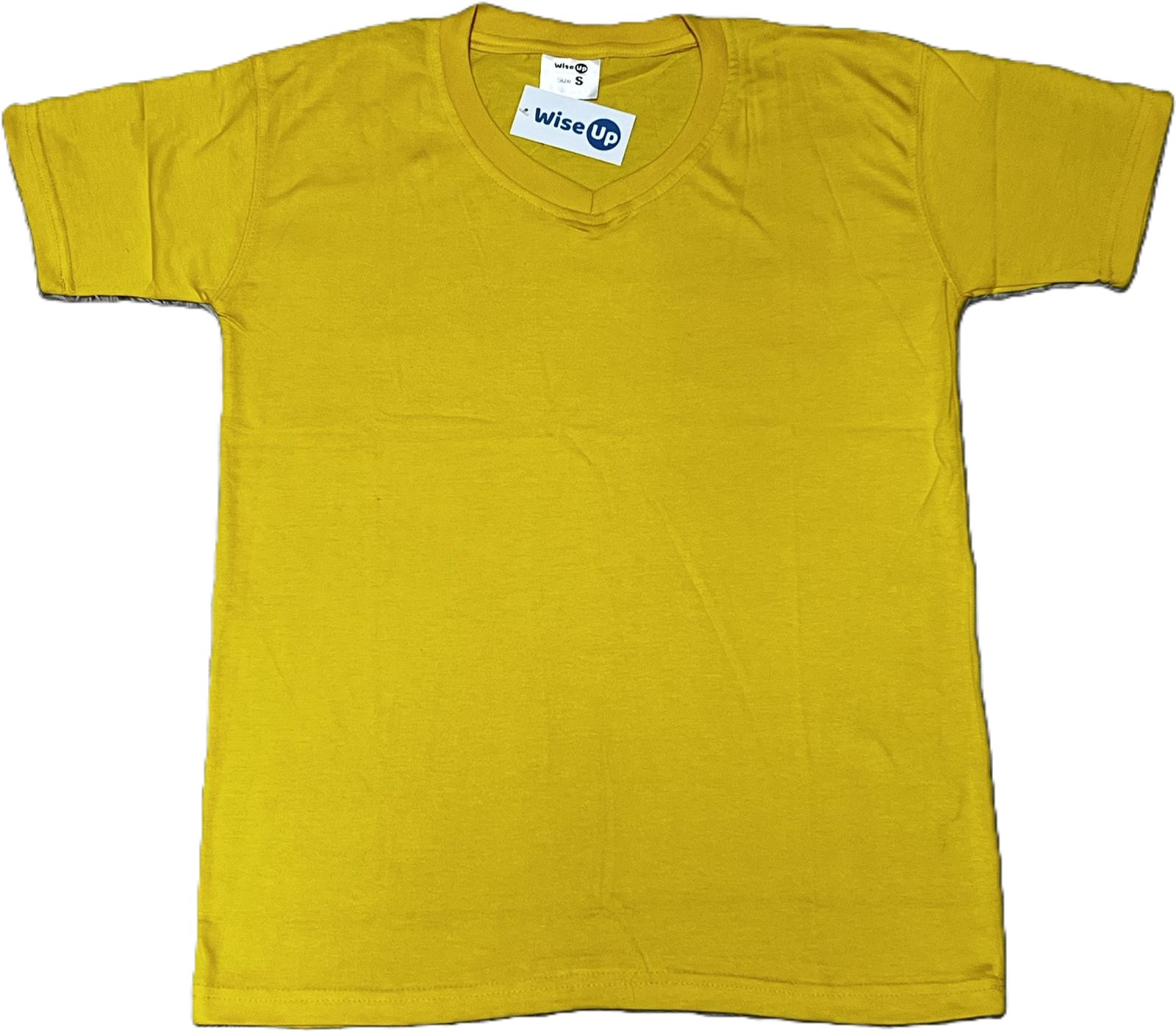 UNISEX SOLID VNECK TSHIRTS